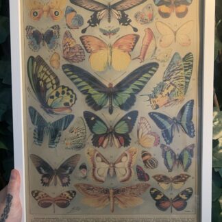 Posters