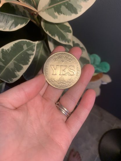 Yes/No Coin